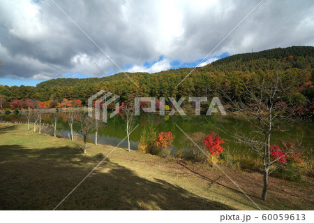 秋のいずみ湖公園 60059613