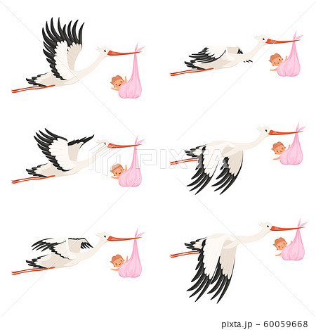 Flying Stork Frame Animation Bird Delivery のイラスト素材