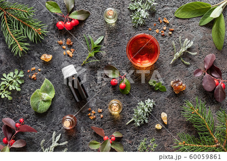 Bottles of essential oil with frankincense, wintergreen, wormwood and other herbs Bottles of essential oil with frankincense, wintergreen, wormwood and other herbs 60059861