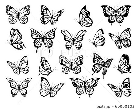 Silhouettes Of Butterflies Black Pictures Of のイラスト素材