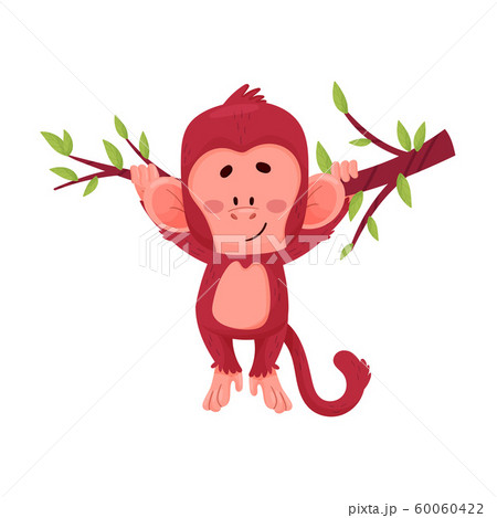 Little liana Funny Little Red Monkey Hanging On Liana Vector...のイラスト素材 [60060422] - PIXTA