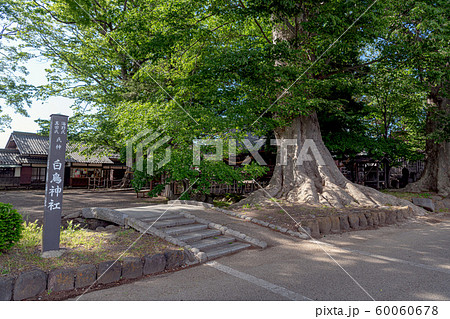 海野宿 白鳥神社 60060678
