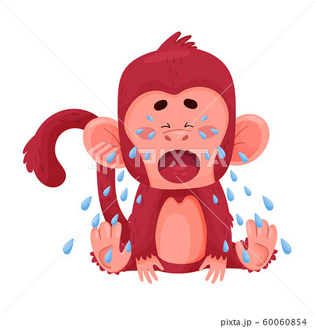 Funny Little Red Monkey Crying Inconsolably... - Stock Illustration  [60060854] - PIXTA