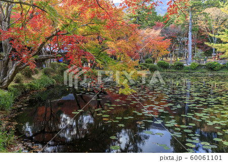 大原野神社 紅葉 大原野神社 紅葉 60061101