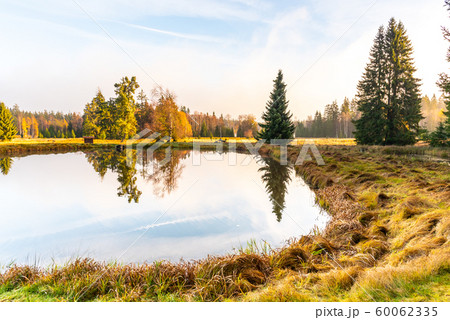Trees reflected in the pond. Kladska peat bog National Reserve near Marianske Lazne, Czech Republic Trees reflected in the pond. Kladska peat bog National Reserve near Marianske Lazne, Czech Republic 60062335