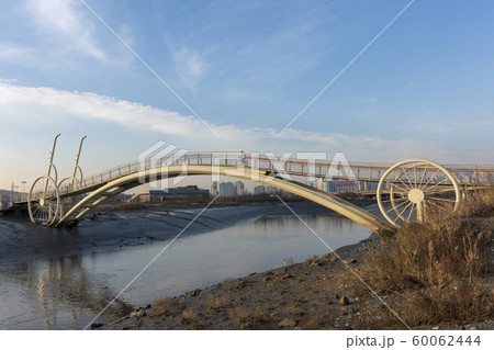 自然 風景 韓国 60062444