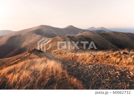 Yellow grass trembling in the wind in autumn mountains 60062732