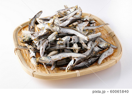 煮干し 白背景 60065840