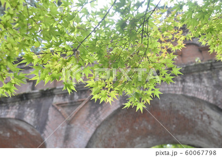 南禅寺水路閣と緑のもみじ 南禅寺水路閣と緑のもみじ 60067798
