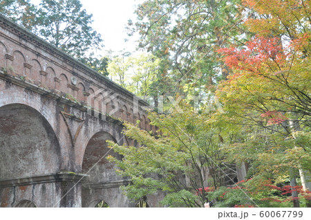 南禅寺水路閣と紅葉始まりのもみじ 60067799
