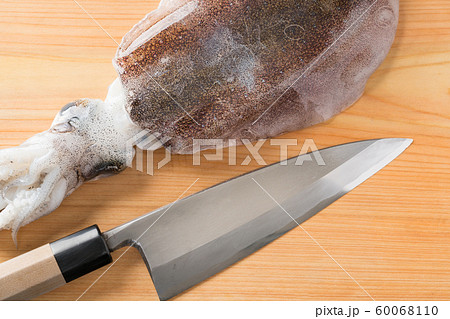 出刃包丁とアオリイカ 60068110