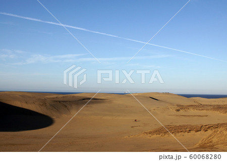 鳥取　四季の散歩　秋　鳥取砂丘 60068280