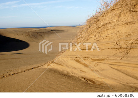 鳥取　四季の散歩　秋　鳥取砂丘 60068286