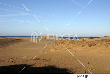 鳥取　四季の散歩　秋　鳥取砂丘 60068293