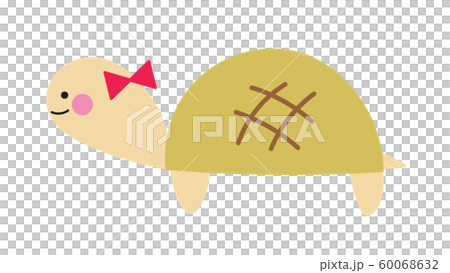 かわいい　かめ　イラスト 60068632