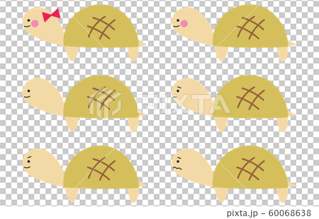 可愛的烏龜插圖集 60068638