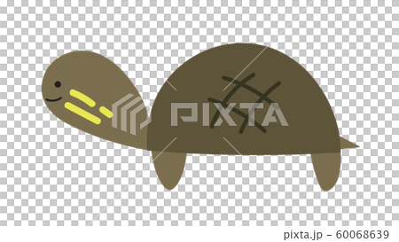 Illustration of turtle 60068639