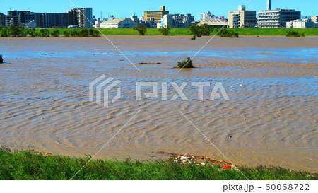 台風19号が関東を直撃した翌朝（2019年10月13日）の新荒川大橋付近の荒川の風景 60068722