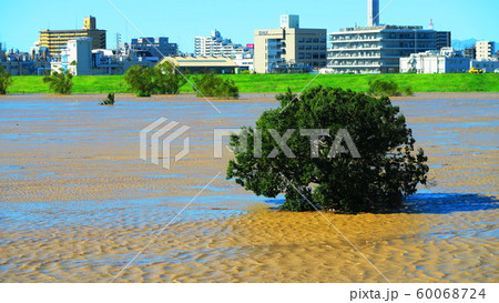 台風19号が関東を直撃した翌朝(2019年10月13日)の新荒川大橋付近の荒川の風景 台風19号が関東を直撃した翌朝(2019年10月13日)の新荒川大橋付近の荒川の風景 60068724