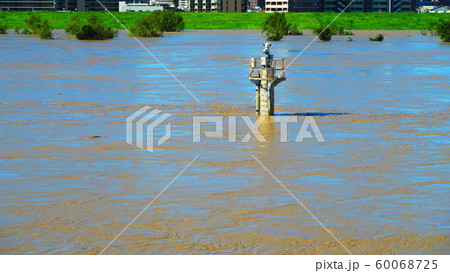 台風19号が関東を直撃した翌朝（2019年10月13日）の新荒川大橋付近の荒川の風景 60068725