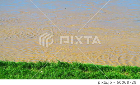台風19号が関東を直撃した翌朝（2019年10月13日）の新荒川大橋付近の荒川の風景 60068729