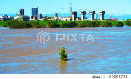 台風19号が関東を直撃した翌朝（2019年10月13日）の新荒川大橋付近の荒川の風景 60068731