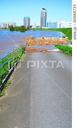 台風19号が関東を直撃した翌朝（2019年10月13日）の新荒川大橋付近の荒川の風景 60068734