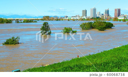 台風19号が関東を直撃した翌朝(2019年10月13日)の新荒川大橋付近の荒川の風景 台風19号が関東を直撃した翌朝(2019年10月13日)の新荒川大橋付近の荒川の風景 60068738