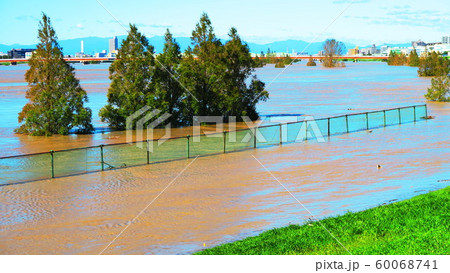 台風19号が関東を直撃した翌朝（2019年10月13日）の新荒川大橋付近の荒川の風景 60068741