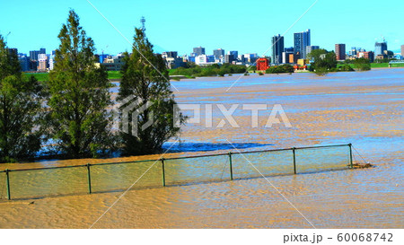 台風19号が関東を直撃した翌朝（2019年10月13日）の新荒川大橋付近の荒川の風景 60068742