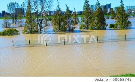 台風19号が関東を直撃した翌朝(2019年10月13日)の新荒川大橋付近の荒川の風景 台風19号が関東を直撃した翌朝(2019年10月13日)の新荒川大橋付近の荒川の風景 60068745