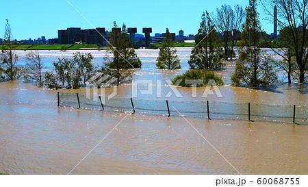 台風19号が関東を直撃した翌朝(2019年10月13日)の新荒川大橋付近の荒川の風景 台風19号が関東を直撃した翌朝(2019年10月13日)の新荒川大橋付近の荒川の風景 60068755