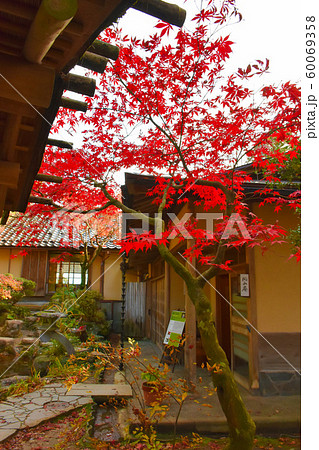 茶室円山庵 紅葉 富山市民俗民芸村 茶室円山庵 紅葉 富山市民俗民芸村 60069358