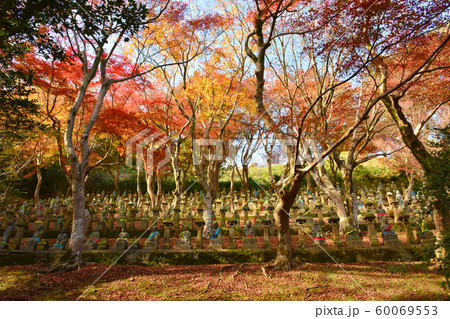 五百羅漢　紅葉　富山市 60069553