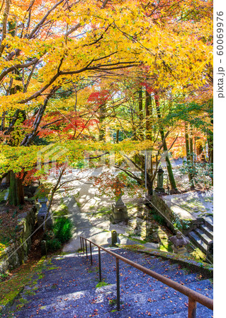 水上不動尊（万寿寺）の紅葉　【佐賀県佐賀市】 60069976