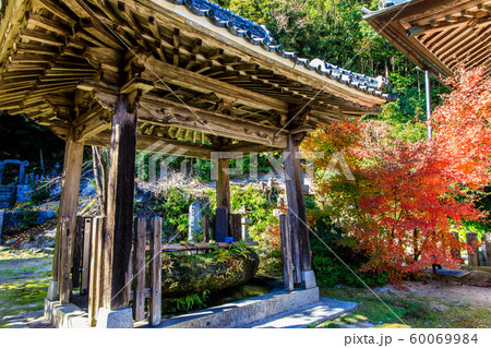 水上不動尊（万寿寺）の紅葉　【佐賀県佐賀市】 60069984