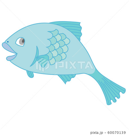 かわいい魚のキャラクターのイラストのイラスト素材 60070139 Pixta