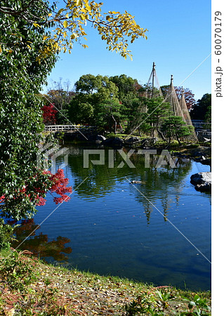 秋の白鳥庭園 60070179