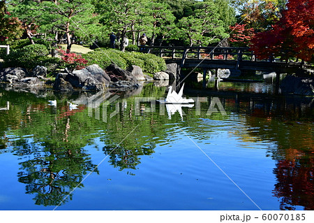 秋の白鳥庭園 秋の白鳥庭園 60070185