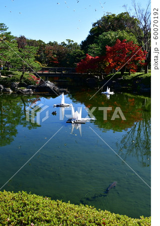 秋の白鳥庭園 秋の白鳥庭園 60070192