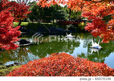 秋の白鳥庭園 60070196