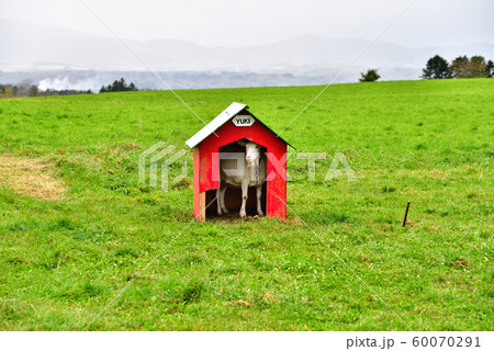 農場 農場 60070291