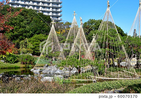 秋の白鳥庭園 60070370