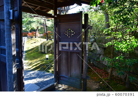 秋の白鳥庭園 60070391