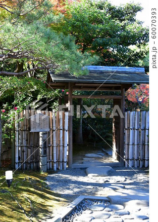 秋の白鳥庭園 秋の白鳥庭園 60070393