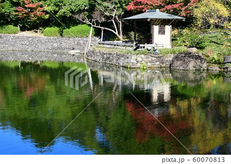 秋の白鳥庭園 秋の白鳥庭園 60070813