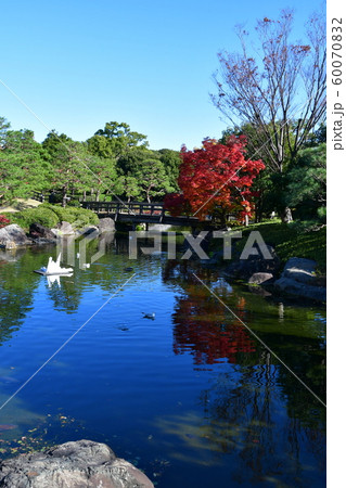 秋の白鳥庭園 秋の白鳥庭園 60070832