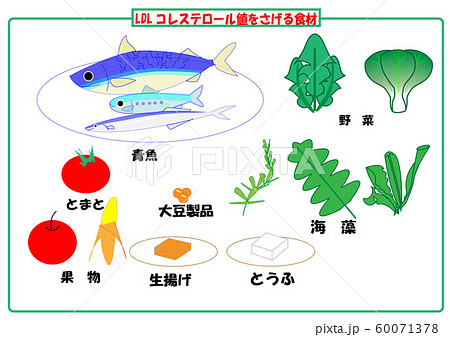 Ldlコレステロール値のイラスト素材 60071378 Pixta