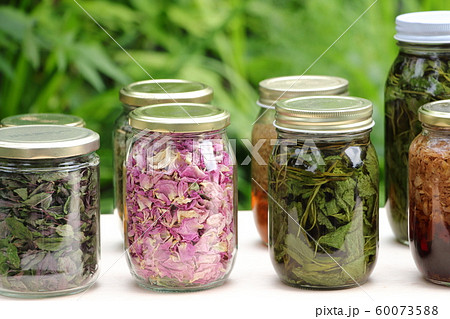 ハーブチンキ ハーブチンキ 60073588