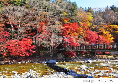 塩原温泉の町並み 紅の吊橋と紅葉 塩原温泉の町並み 紅の吊橋と紅葉 60073951